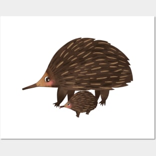 Echidna Posters and Art